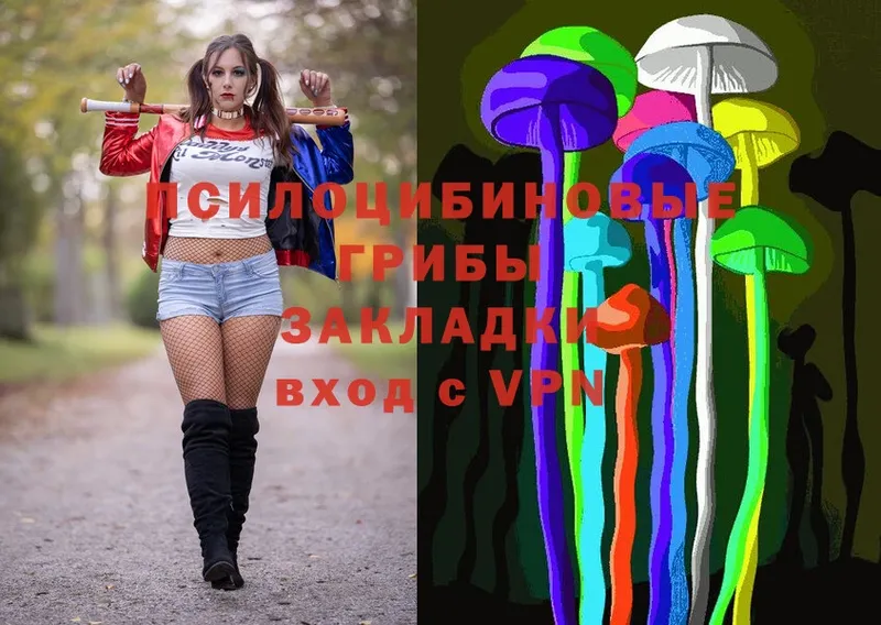 Псилоцибиновые грибы MAGIC MUSHROOMS  цены   Алапаевск 